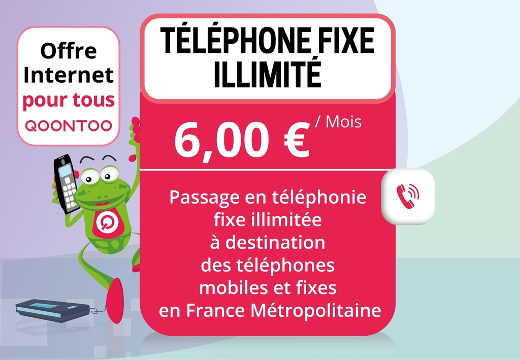 Téléphonie fixe - Option appels illimités